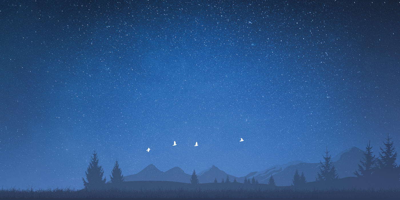 Illustration of night sky from our Sustainability report 2020
