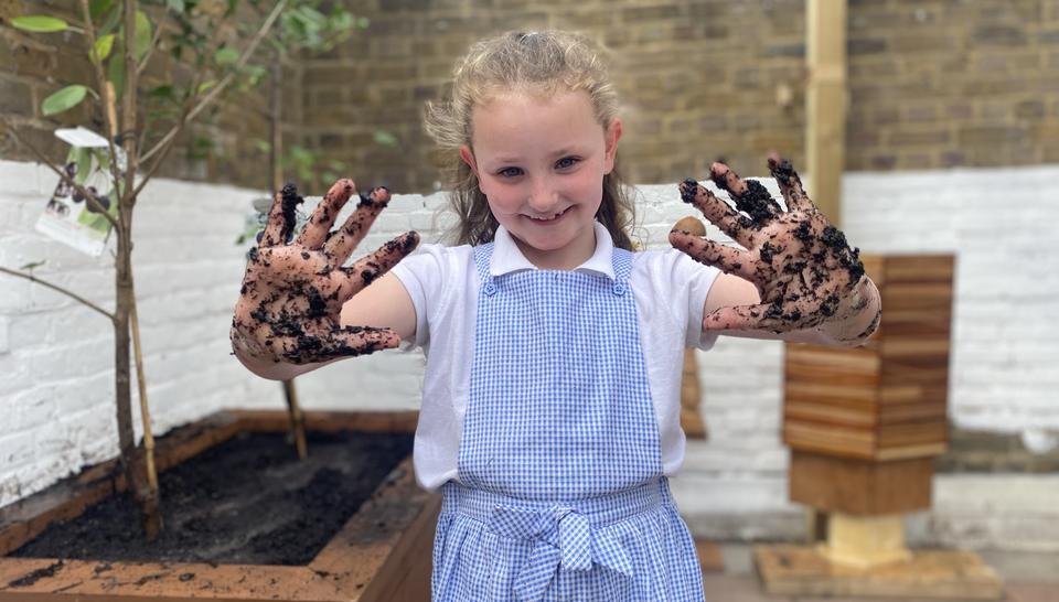 Primary school pupil shows the camera her muddy hands after planting a tree in the playground