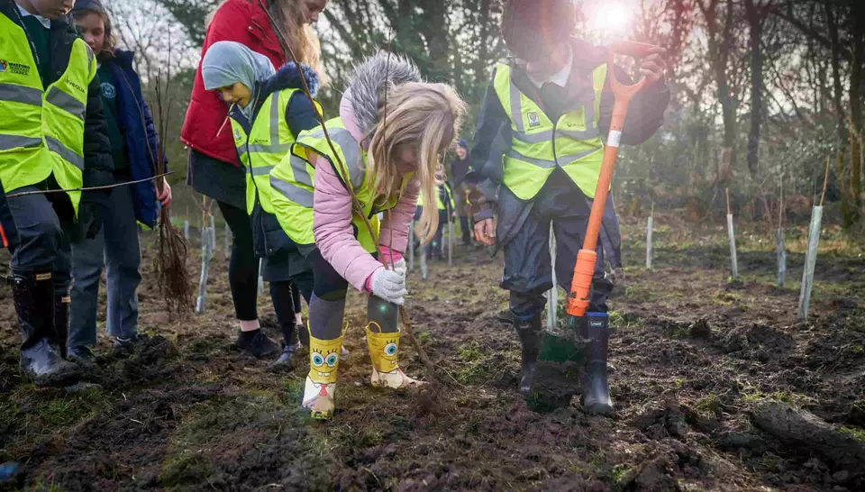 kids planting trees