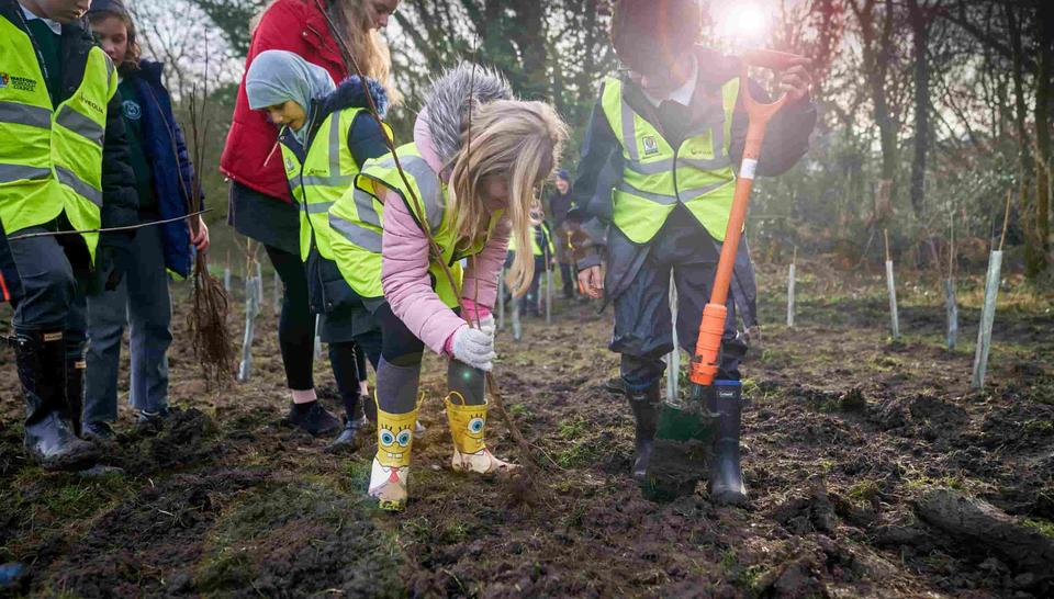 kids planting trees