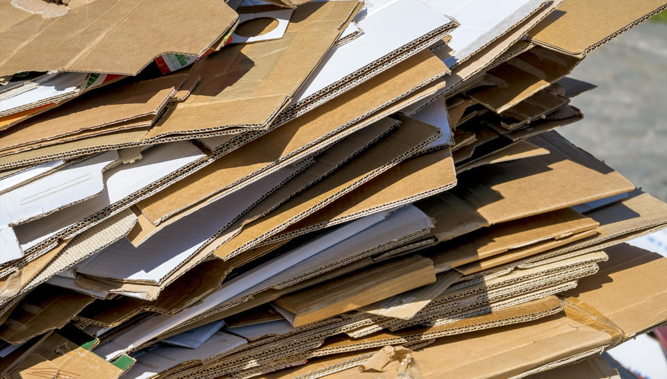 cardboard waste