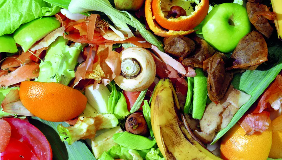 Food Waste