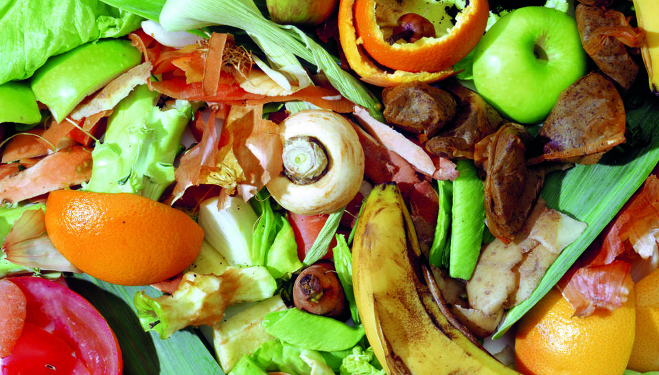 Food Waste