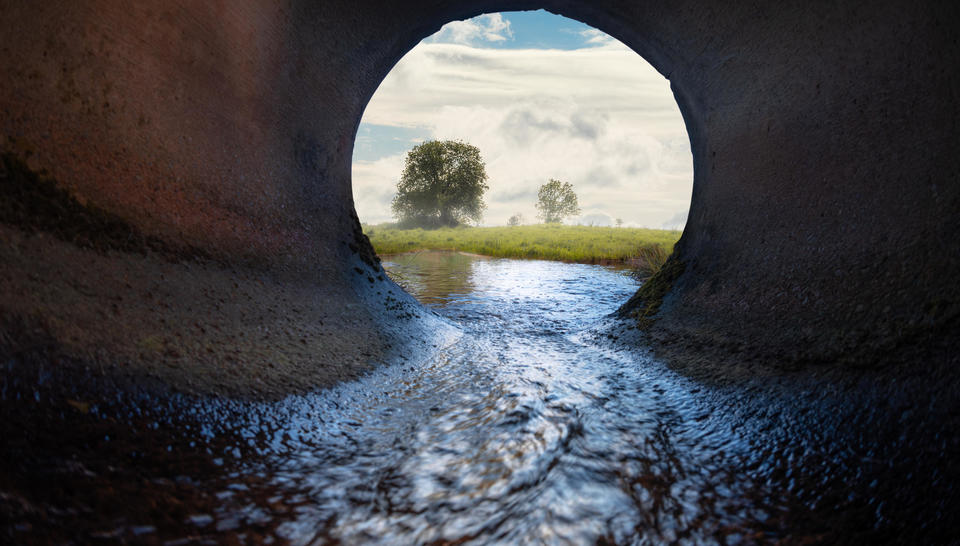 A photo taken from within a water pipe, looking towards a field with a tree.