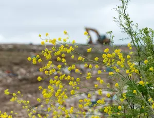 Veolia UK | Life left in the landfill