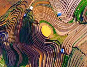 Veolia UK _ Planet Magazine Issue 19