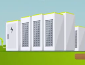Net Zero