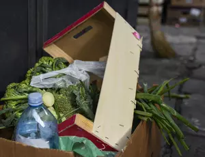Don't get left behind when it comes to food waste