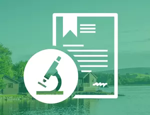 Case Study Icon