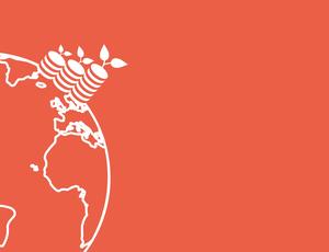 COP27 Day 3 Banner: finance and building resilience