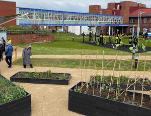 VET Therapy Garden