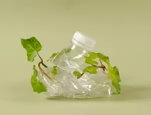 plastic bottle scrunched up with a green leaf tied around it 