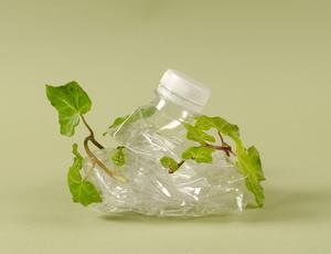 plastic bottle scrunched up with a green leaf tied around it 