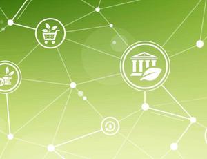 net zero strategy