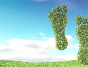 carbon footprint