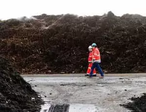 Steaming Compost Piles 