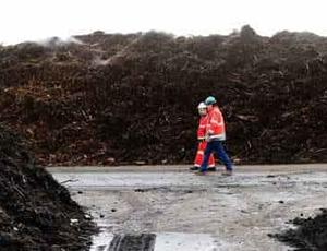 Steaming Compost Piles 