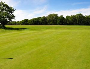 green golf course 