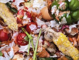 food waste 
