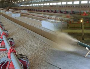 Poultry bedding