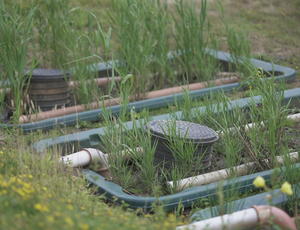 Photo of the water irrigation system at Alton