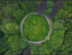 forest park with circular path route