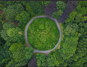forest park with circular path route