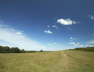 Langdon Reserve
