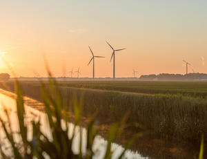 An agricultural landscape with wind turbines in the distance, captured at sunset.