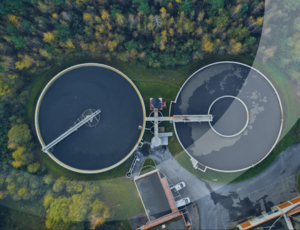 water plant