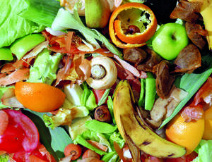 Food Waste