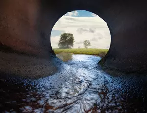 A photo taken from within a water pipe, looking towards a field with a tree.