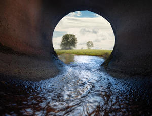 A photo taken from within a water pipe, looking towards a field with a tree.