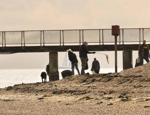 Volunteers on a beach picking up litter with a bridge and the sunset in the background.