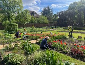 image of garden