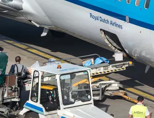 Airport waste removal
