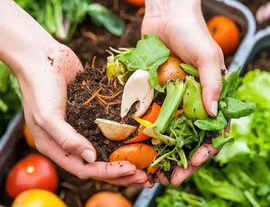 Hands holding food waste
