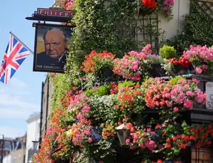 The Churchill Arm pub sign hangs alongside a wall full of flowers with a bright blue sky in the background.