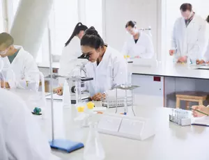 Students conducting an experiment in laboratory