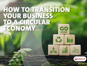 Cover for how to transition your business a circular economy