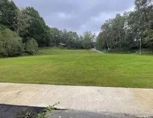 Green grass and trees from remediated land 