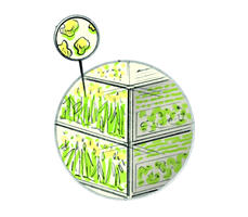 Bedroom - Biofuel