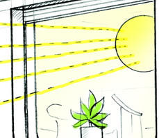 Bedroom - Sunlight