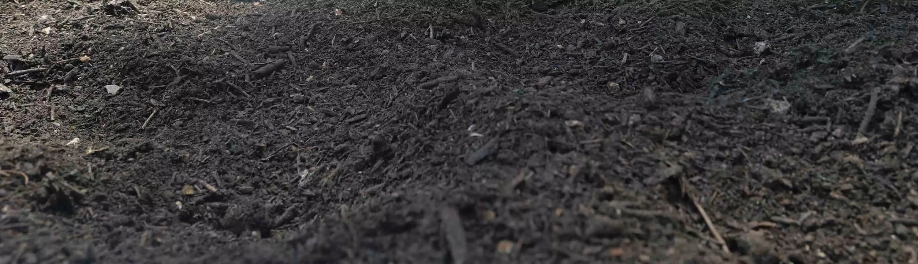soil
