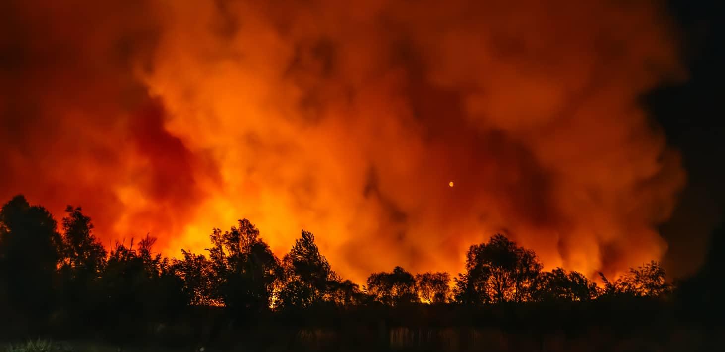 forest fire