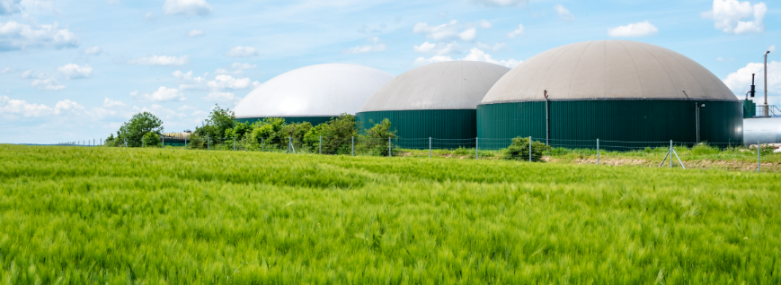 The Future of Biogas Energy Solutions