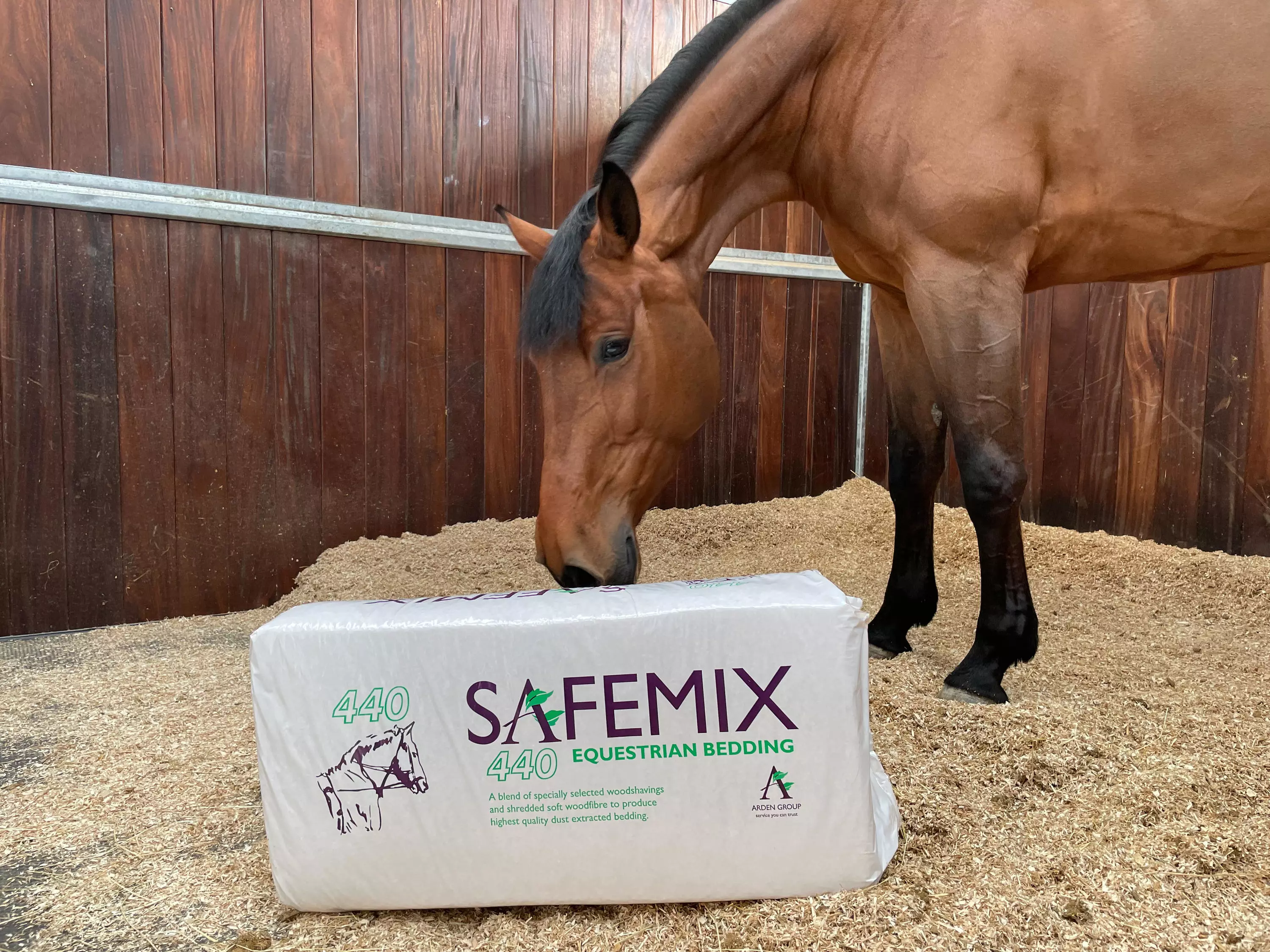 horse with equestrian bedding product