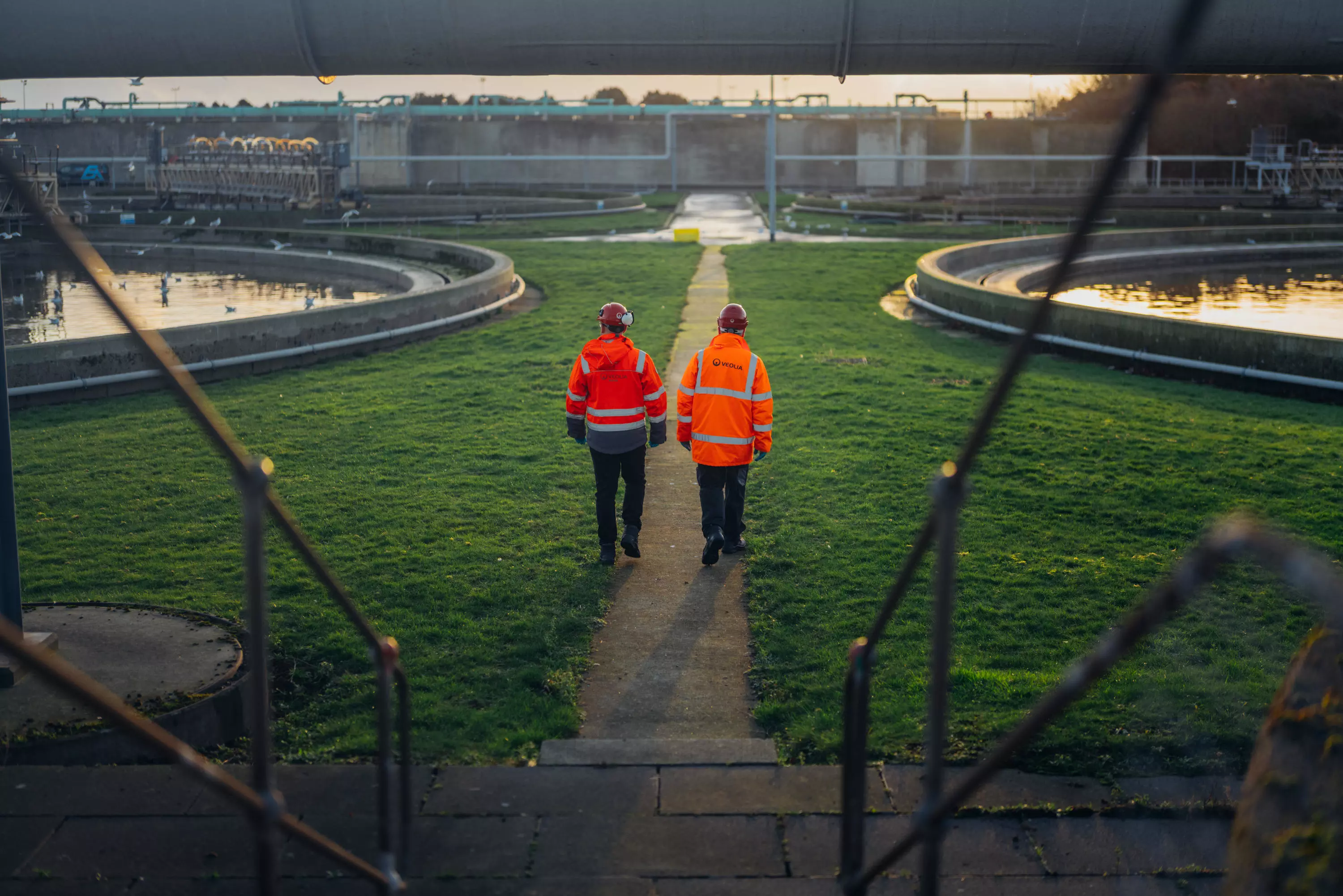 Veolia workers observing Wastewater Treatment