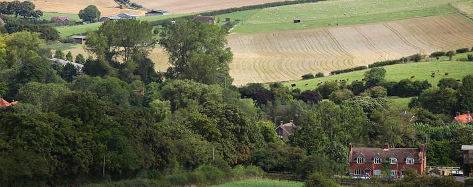 West Berkshire