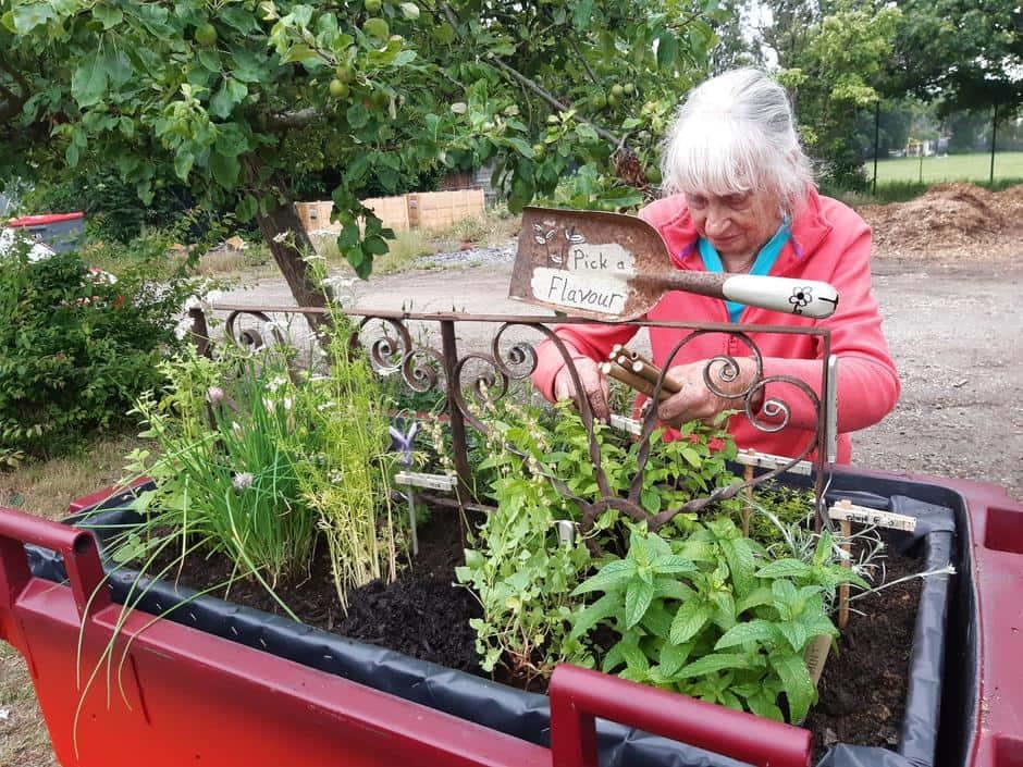 gardening